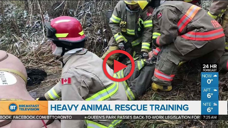 Breakfast Television TLAR training course report