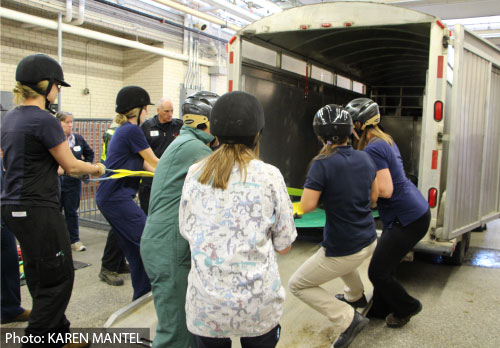 Large Animal Rescue Workshop