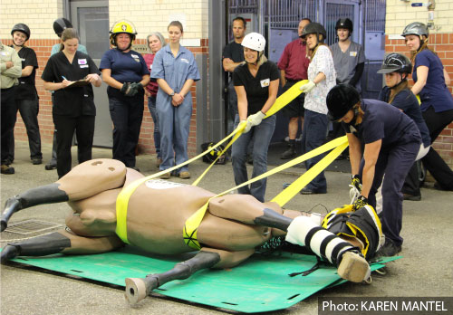 Large Animal Rescue Workshop