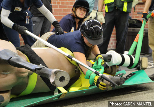 Large Animal Rescue Workshop