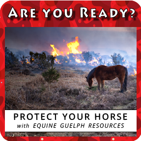 (link) Equine Guelph Resources