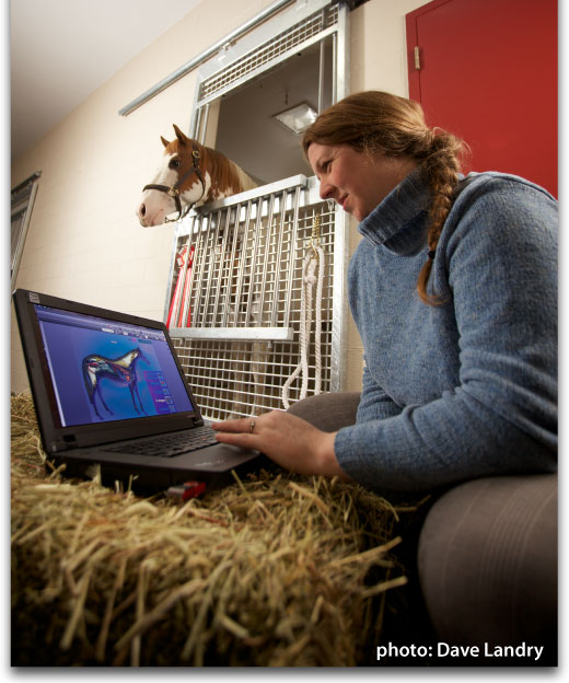 Online Student with their horse