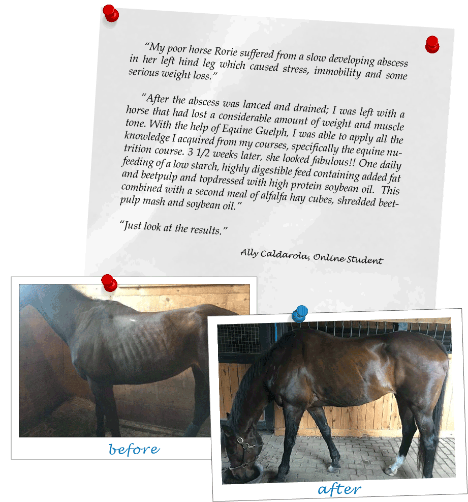 Student Course Review