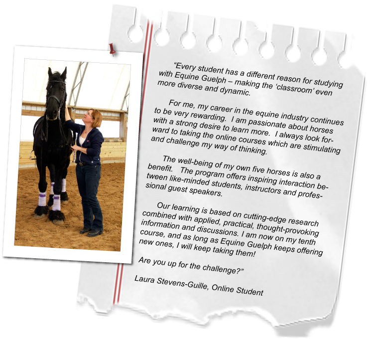 Laurs comment imagge