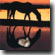 horse at sunset