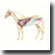 drawing showing the horses organs