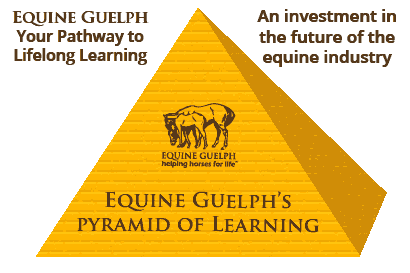 The Pyramid of Learning