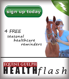 (LINK) Healthflash-Sign-up