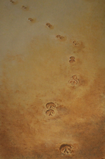 hoofprints in the sand