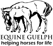 Equine Guelph logo