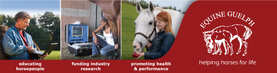 Equine Guelph banner