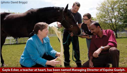 Gayle Ecker displaying skeletal fore-leg of a horse image