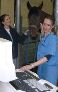 Dr. Heather Chalmers