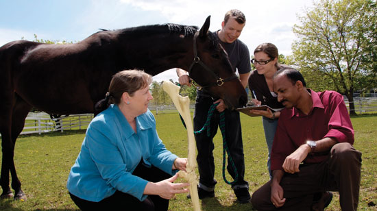 Gayle Ecker, life-long educator