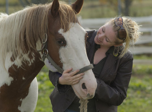 Equine Welfare course