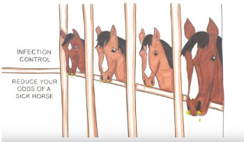 Infection Control - reduce your odds of a sick horse