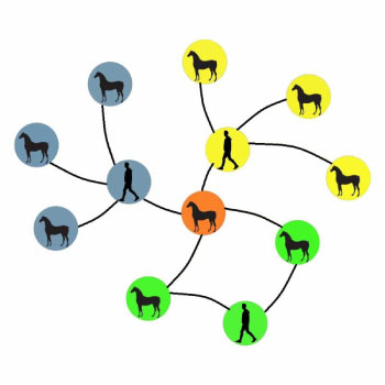 contact pattern study illustration