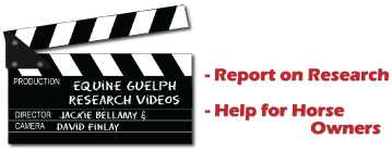 Report on Research and Help for Horse Owners logo