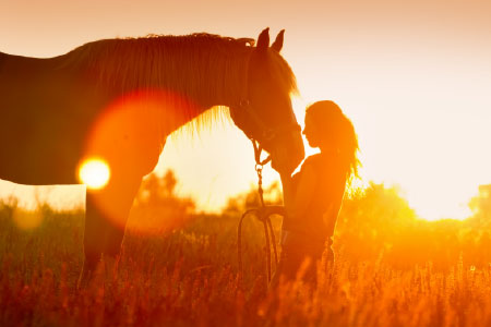 horse and woman at sunset